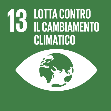 Goal 13